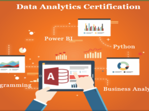 Job Oriented Data Analyst Course in Delhi, 110074.