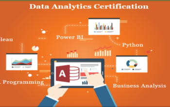 Job Oriented Data Analyst Course in Delhi, 110074.