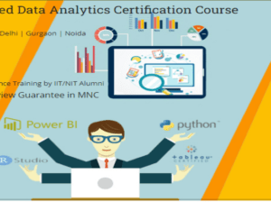 Top Data Analyst Course in Delhi, 110081. Best